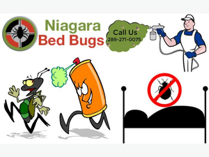 Hire Niagara Bed Bugs For Chemical Heat Treatment Services Image